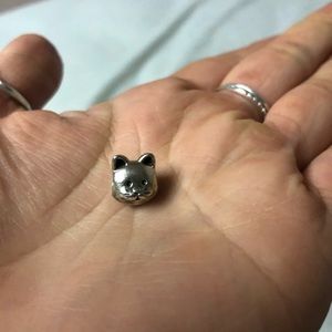 Cat Pandora Charm